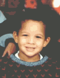 image33.gif (11808 bytes)